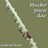 Gabriel Rua - Mucho para Dar '2024